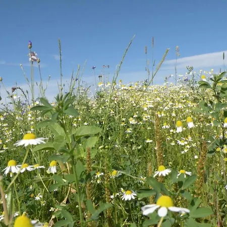 Riverside Mansion Retreat Feriehus Le Parque