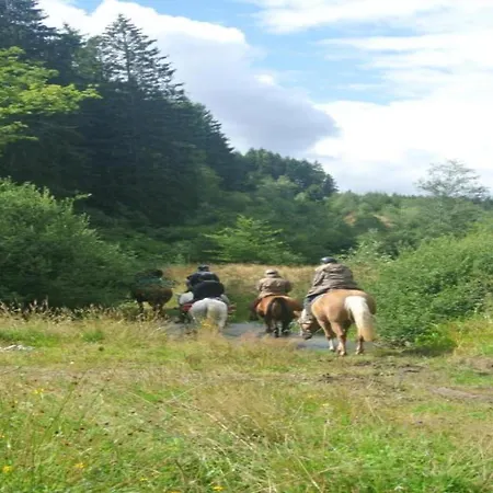 Riverside Mansion Retreat Feriehus *