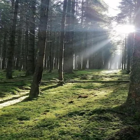 Riverside Mansion Retreat * Le Parque