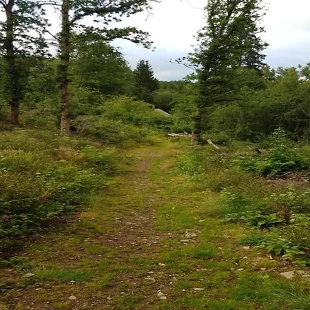 Riverside Mansion Retreat *